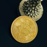 Профессиональное обучение трейдингу в Канаде и США с поддержкой 24/7